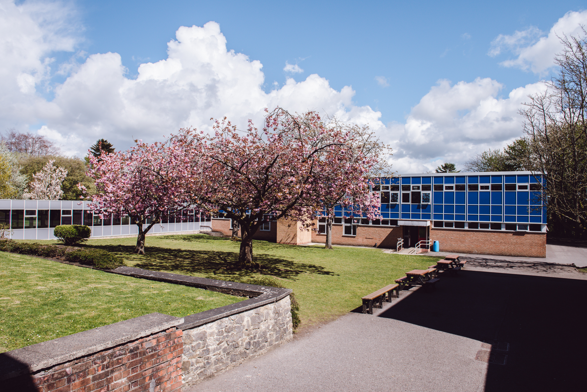Risedale School